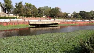 Tapi : નગરપાલિકાની ઘોર બેદરકારીને પગલે રિવરફ્રન્ટ ઉપર ગંદકી, દુર્ગંધ અને મચ્છરનો ઉપદ્રવ