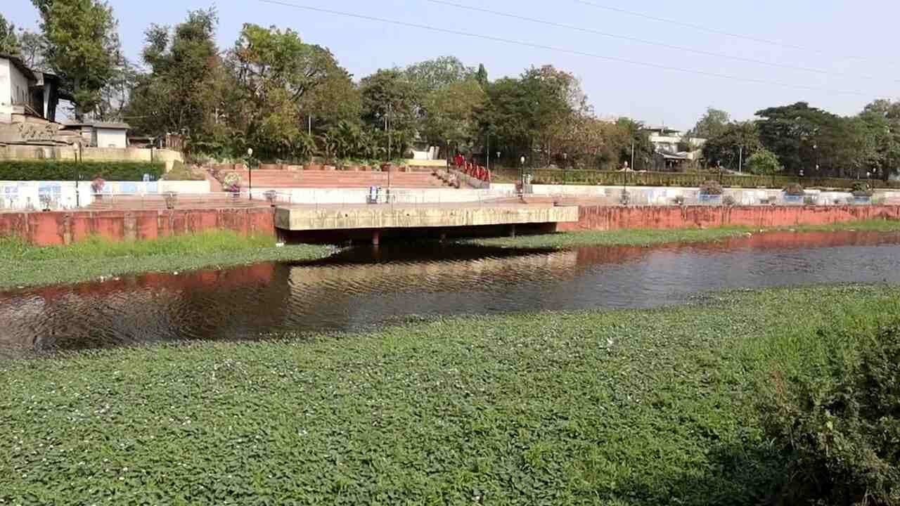 Tapi : નગરપાલિકાની ઘોર બેદરકારીને પગલે રિવરફ્રન્ટ ઉપર ગંદકી, દુર્ગંધ અને મચ્છરનો ઉપદ્રવ