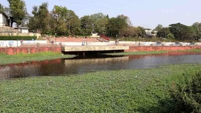 Tapi : નગરપાલિકાની ઘોર બેદરકારીને પગલે રિવરફ્રન્ટ ઉપર ગંદકી, દુર્ગંધ અને મચ્છરનો ઉપદ્રવ