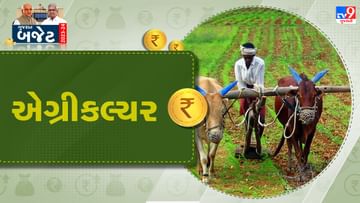 Gujarat Budget 2023-24 : કૃષિક્ષેત્રે હરિયાળી ! ખેડૂત કલ્યાણ અને સહકાર વિભાગ માટે 21,605 કરોડની જોગવાઈ