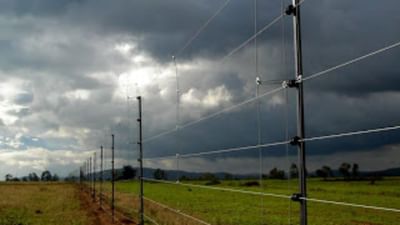 આણંદ : બોર ખાવા ગયેલ બાળકનું ઝટકા મશીનનો આંચકો લાગતા ઘટના સ્થળે મોત