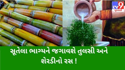 તુલસીના છોડમાં આ રીતે અર્પણ કરો શેરડીનો રસ, તમારું નસીબ ચમકતા વાર નહીં લાગે !