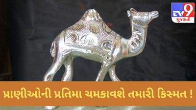 ખૂબ જ મહેનત કરવા છતાં નથી મળી રહી સફળતા ? ઘરમાં સજાવો આ પ્રાણીઓની પ્રતિમા !