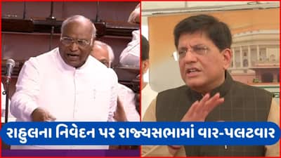 રાહુલના નિવેદન પર પીયૂષ ગોયલે સંસદમાં કહ્યું- દેશદ્રોહનો કેસ ચાલવો જોઈએ, કોંગ્રેસે ભાજપને આપ્યો આવો જવાબ