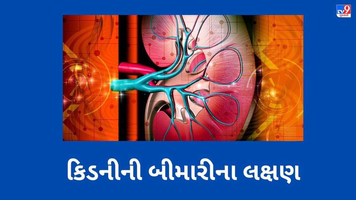 કિડનીની બિમારી પહેલા શરીર આપે છે આ સંકેત, જો આવા લક્ષણો દેખાય તો તરત જ કરાવો સારવાર કિડનીની બિમારી પહેલા શરીર આપે છે આ સંકેત, જો આવા લક્ષણો દેખાય તો તરત જ કરાવો સારવાર