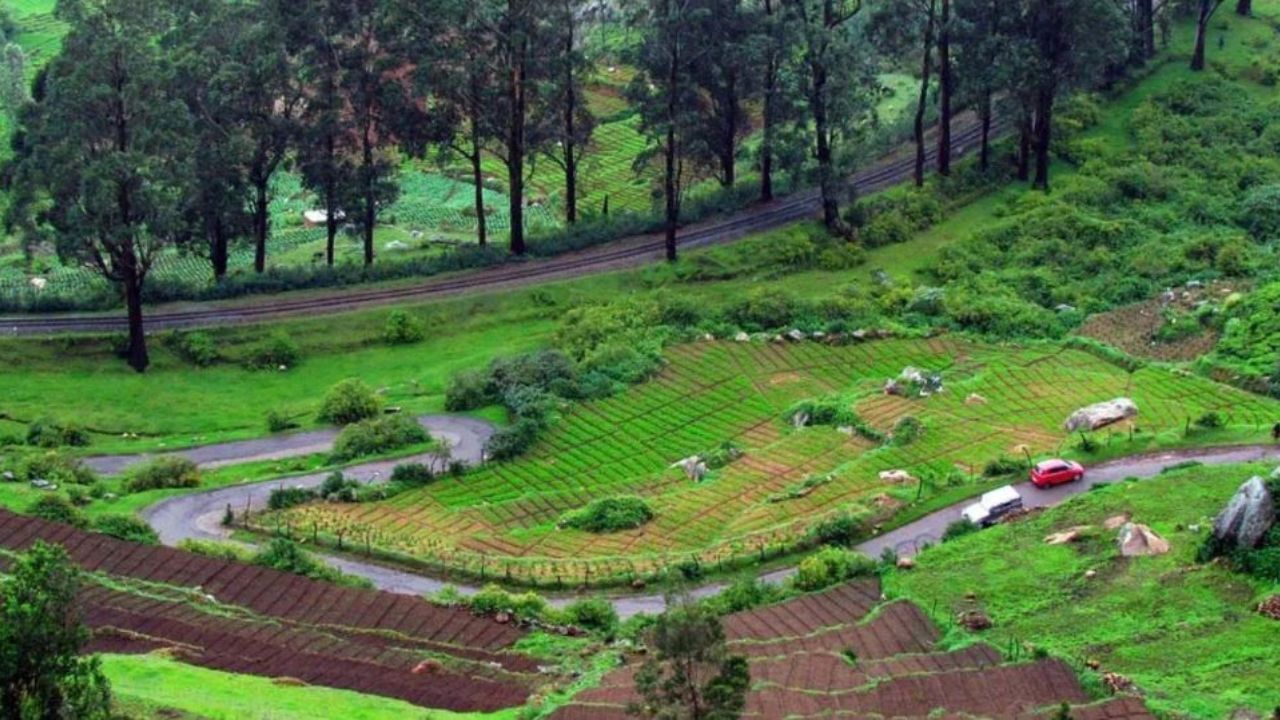 ઊટી - તમે ઊટીમાં ફરવા માટે પણ જઈ શકો છો. લીલાછમ જંગલો, મંત્રમુગ્ધ કરી દે તેવા ચાના બગીચા, કુદરતી તળાવો અને આહલાદક હવામાન તમને આનંદિત કરશે. આ સ્થાન પર તમે તમારા પરિવાર સાથે ક્વોલિટી ટાઈમ વિતાવી શકશો.