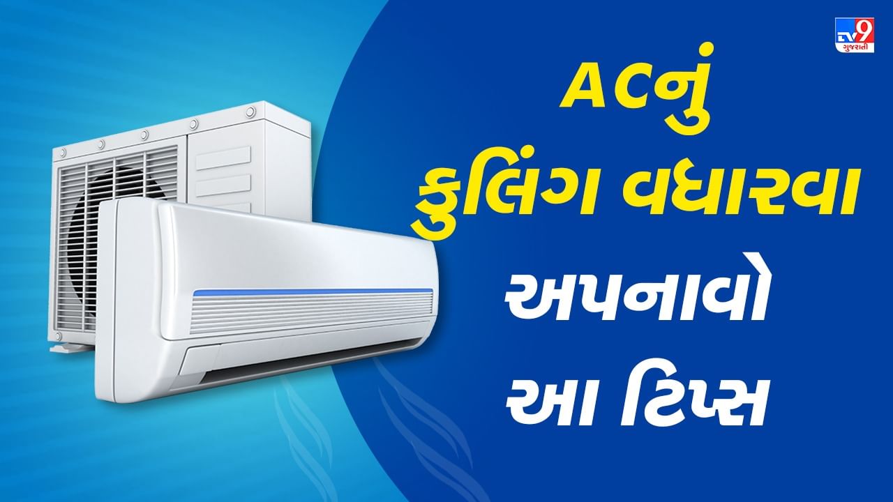 શું AC પર કબૂતરોએ બનાવી દીધુ છે ઘર? નુકસાન જાણી રહી જશો દંગ, તાત્કાલિક