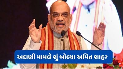 Adani મામલે અમિત શાહએ તોડ્યુ મૌન, કહ્યું ખોટુ થયું હશે તો છોડવામાં નહીં આવે!