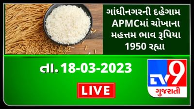 Mandi : ગાંધીનગરના દહેગામની APMCમાં ચોખાના મહત્તમ ભાવ રૂપિયા 1950 રહ્યા, જાણો જુદા-જુદા પાકના ભાવ