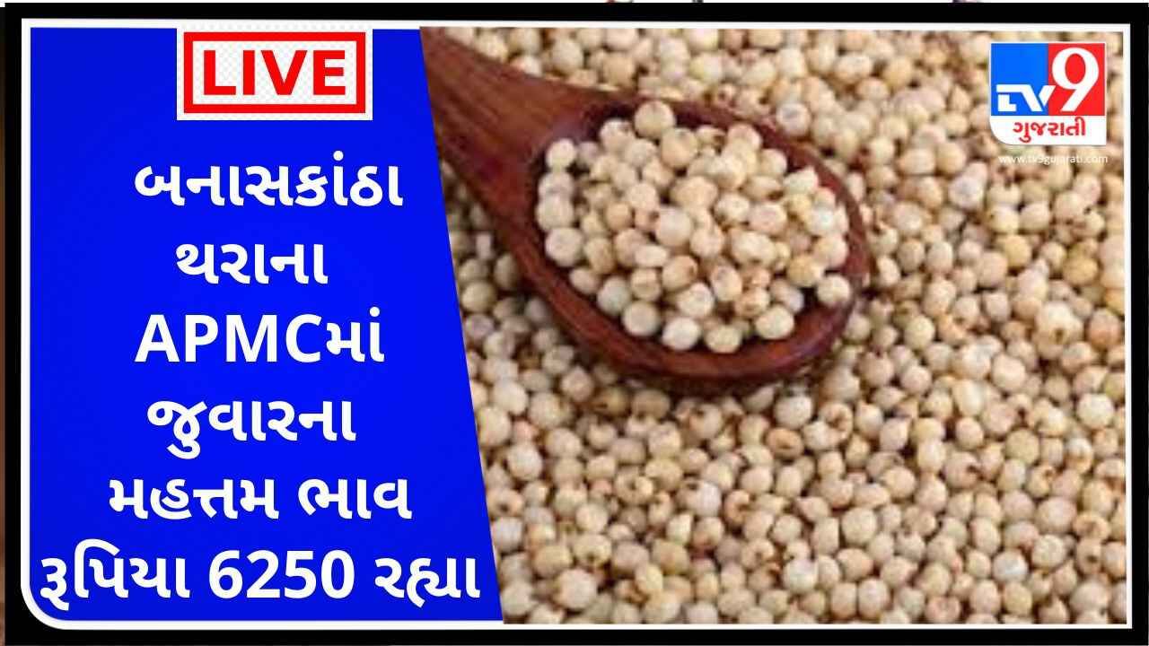 Mandi : બનાસકાંઠા થરાના APMCમાં જુવારના મહત્તમ ભાવ રૂપિયા 6250 રહ્યા, જાણો જુદા-જુદા પાકના ભાવ