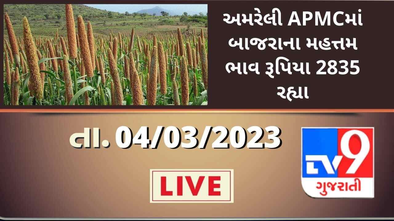 Mandi : અમરેલી APMCમાં બાજરાના મહત્તમ ભાવ રૂપિયા 2835 રહ્યા, જાણો જુદા-જુદા પાકના ભાવ