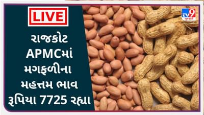 Mandi : રાજકોટ APMCમાં મગફળીના મહત્તમ ભાવ રૂપિયા 7725 રહ્યા, જાણો જુદા-જુદા પાકના ભાવ