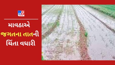 મહેનત પર ફરી વળ્યુ 'માવઠુ', પાટણમાં પાકમાં નુકશાન થતા ખેડૂતોનુ દર્દ છલકાયુ, જુઓ VIDEO