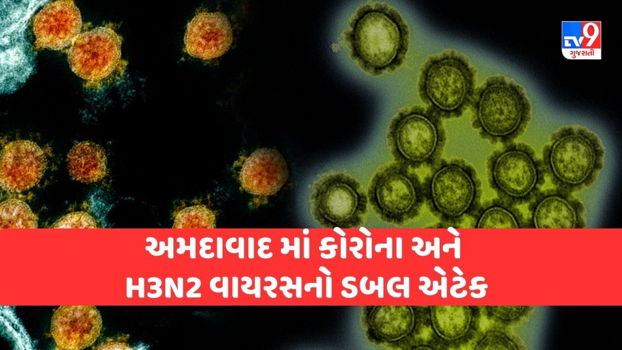 Ahmedabad માં કોરોના અને H3N2 વાયરસનો ડબલ એટેક, કોર્પોરેશને લેબ ટેસ્ટિંગ વધાર્યું