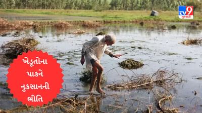 Gujarati Video : અમરેલીના લાઠી અને સાવરકુંડલા તાલુકાના ગામોમાં કમોસમી વરસાદ ખાબક્યો, ખેડૂતોના પાકને ભારે નુકસાન