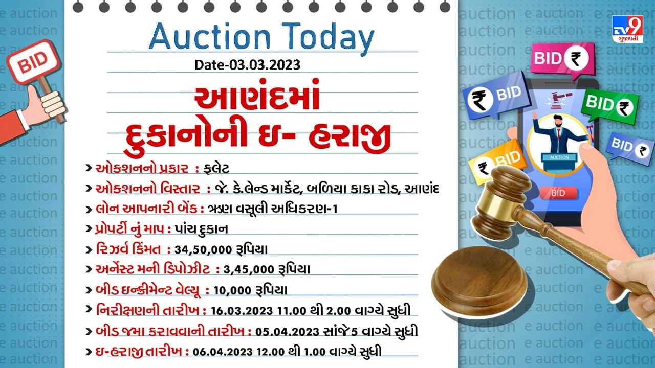 Anand Shop E Auction Detail