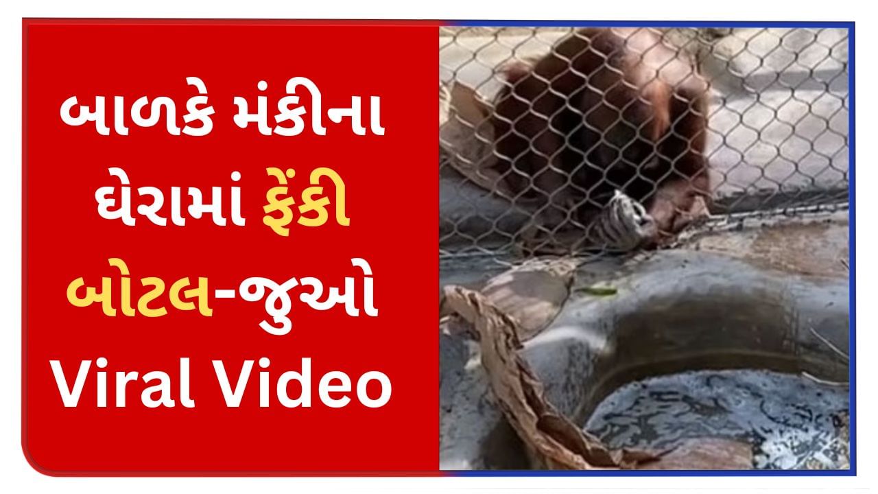 Animal Viral Video : બાળકે મંકીના ઘેરામાં ફેંકી બોટલ, પછી મંકીએ કર્યું ચોંકાવનારું કામ - જુઓ Viral Video