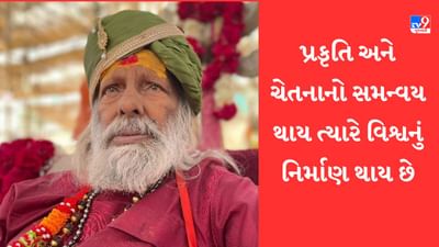 Pilot BABA : પ્રકૃતિ અને ચેતનાનો સમન્વય થાય ત્યારે વિશ્વનું નિર્માણ થાય છે, જુઓ પાયલટ બાબા સાથે ખાસ વાતચીત