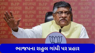 ભાજપના રાહુલ ગાંધી પર પ્રહાર, કહ્યુ- ભારત વિશે અપમાનજનક ટિપ્પણી કરવા બદલ માફી માંગવી જોઈએ