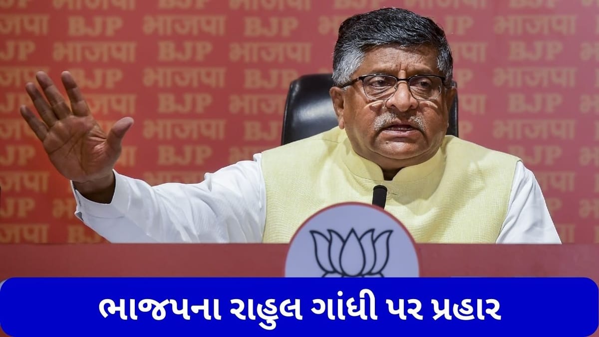 ભાજપના રાહુલ ગાંધી પર પ્રહાર, કહ્યુ- ભારત વિશે અપમાનજનક ટિપ્પણી કરવા બદલ માફી માંગવી જોઈએ