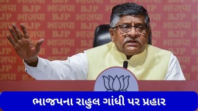 ભાજપના રાહુલ ગાંધી પર પ્રહાર, કહ્યુ- ભારત વિશે અપમાનજનક ટિપ્પણી કરવા બદલ માફી માંગવી જોઈએ