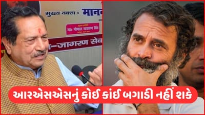 સત્તા માટે અંગ્રેજો સાથે મિલાવી શકે છે હાથ, RSSના ઈન્દ્રેશ કુમારે રાહુલ ગાંધી પર કર્યા પ્રહારો