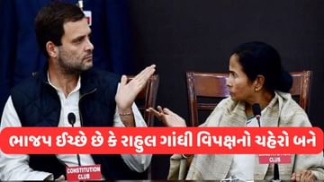 'PM મોદી માટે રાહુલ ગાંધી TRP, જો તેઓ વિપક્ષનો ચહેરો બને તો...', મમતા બેનર્જીનું મોટું નિવેદન
