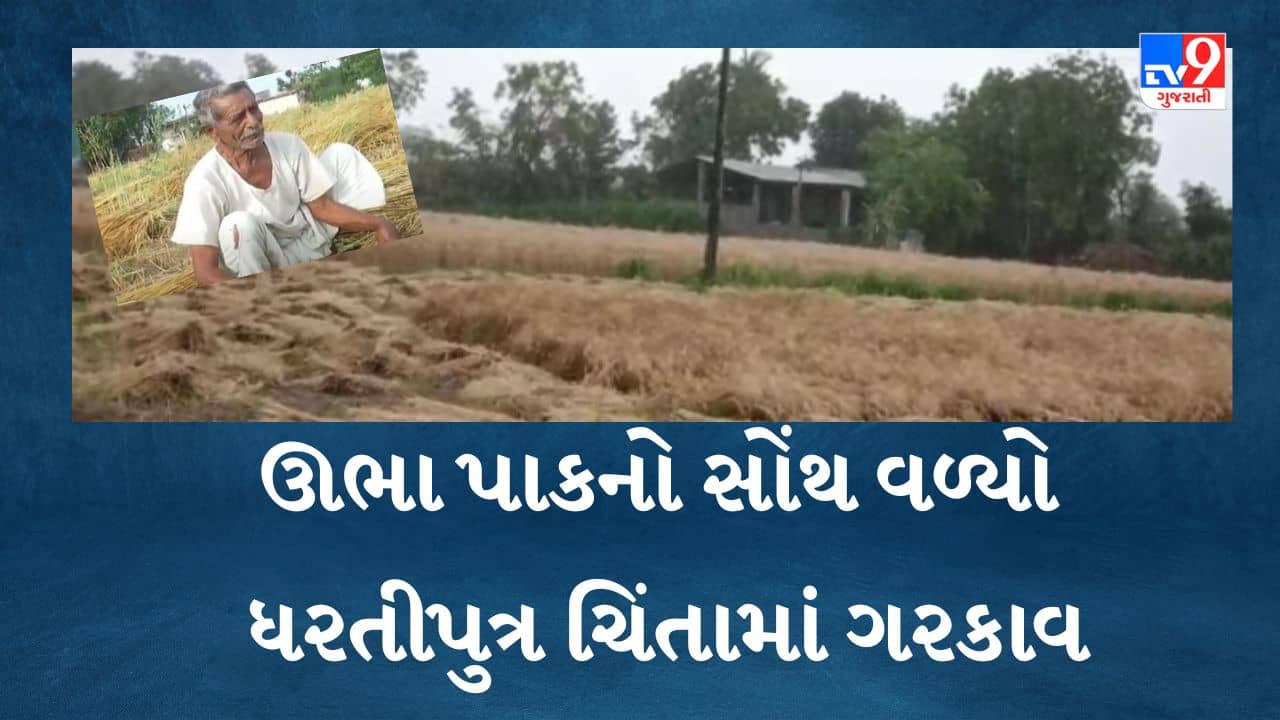 Gujarati video: બનાસકાંઠામાં 3 વાર કમોસમી વરસાદ થતા ઊભો પાક પાણીમાં વહી ગયો, ખેડૂતો બેહાલ
