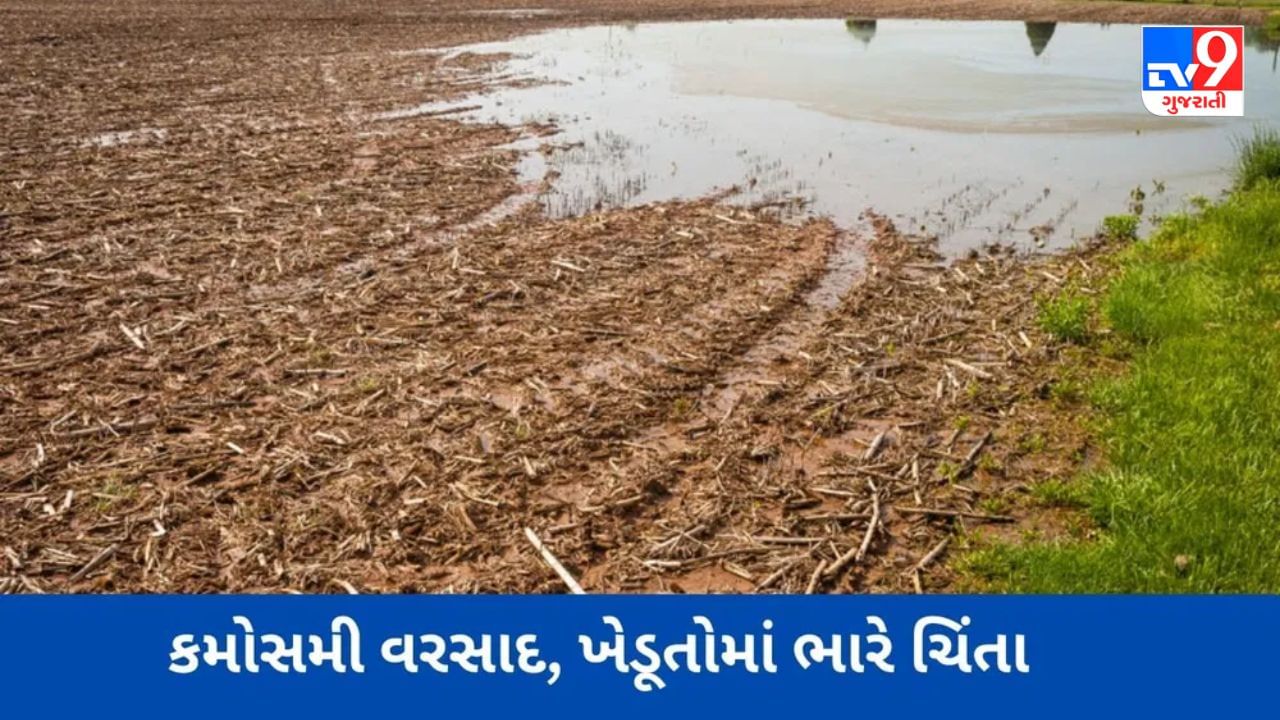 Gujarat Weather : બનાસકાંઠાના વાવમાં મોડીરાત્રે ફરી કમોસમી વરસાદ ખાબક્યો, ધરતીપુત્રો ચિંતિત