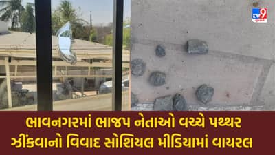 Bhavnagar: પૂર્વ મંત્રી વિભાવરીબેન દવેના પુત્રએ ક્ષત્રિય આગેવાનના ઘર પર પથ્થરોના ઘા કર્યા, વિવાદ સોશિયલ મીડિયામાં વાયરલ