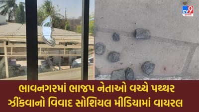Bhavnagar: પૂર્વ મંત્રી વિભાવરીબેન દવેના પુત્રએ ક્ષત્રિય આગેવાનના ઘર પર પથ્થરોના ઘા કર્યા, વિવાદ સોશિયલ મીડિયામાં વાયરલ