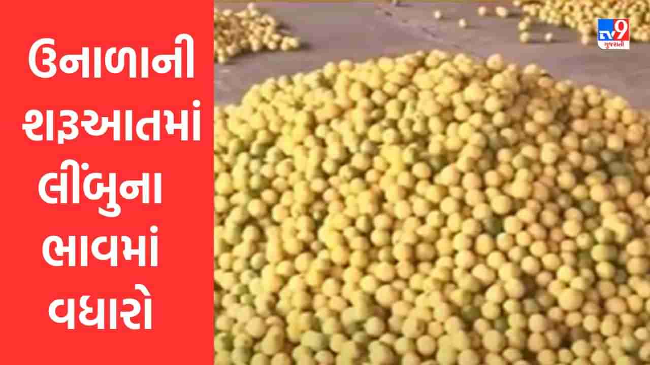 Gujarati Video : ઉનાળાની શરૂઆતમાં જ લીંબુના ભાવમાં વધારો, ખેડૂતોમાં આનંદની લાગણી વ્યાપી