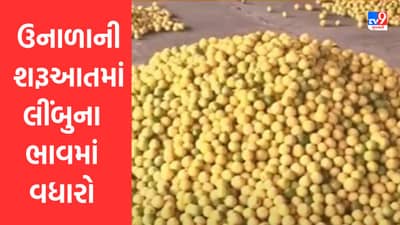 Gujarati Video : ઉનાળાની શરૂઆતમાં જ લીંબુના ભાવમાં વધારો, ખેડૂતોમાં આનંદની લાગણી વ્યાપી