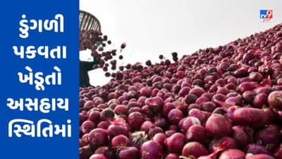 Bhavnagar : ડુંગળી પકવતા ખેડૂતોને આર્થિક સહાય છતાં અસહાય સ્થિતિમાં, સબસીડીની સમય મર્યાદા વધારવા માગ