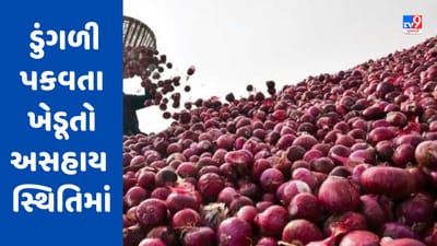 Bhavnagar : ડુંગળી પકવતા ખેડૂતોને આર્થિક સહાય છતાં અસહાય સ્થિતિમાં, સબસીડીની સમય મર્યાદા વધારવા માગ