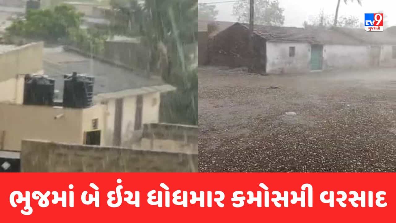 Gujarati Video : ભુજમાં બે ઇંચ ધોધમાર કમોસમી વરસાદ, રાપરમાં પણ કરા પડયા, ખેડુતો ચિંતીત