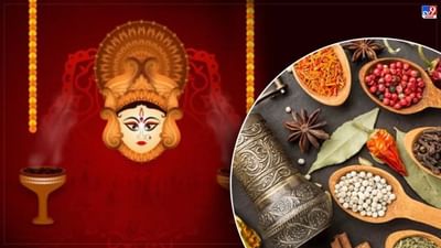 Chaitra Navratri 2023: ઉપવાસ દરમિયાન કેવા પ્રકારના મસાલા ખાઇ શકો છો અને કેવા મસાલા ખાવાના ટાળવા જોઈએ, જાણી લો લીસ્ટ