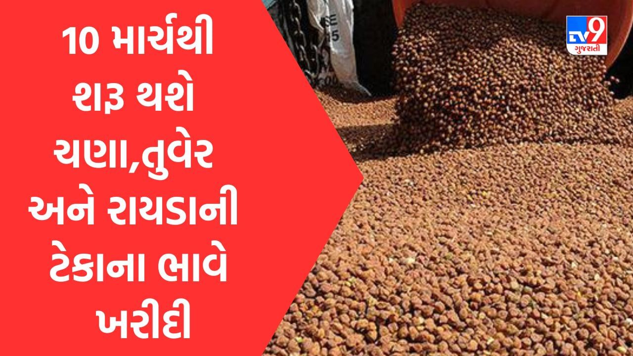 ગુજરાતમાં 10 માર્ચથી શરૂ થશે ચણા, તુવેર અને રાયડાની ટેકાના ભાવે ખરીદી