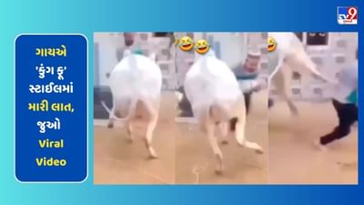 ગાયએ મારી 'કુંગ ફૂ' સ્ટાઈલમાં લાત, Viral Video જોઈ હસવુ નહીં રોકી શકો