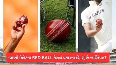 IPL દરમિયાન ભારતીય ખેલાડીઓ ઈંગ્લેન્ડની ‘પસંદ’ ના બોલ વડે પ્રેક્ટિસ કરશે, શુ છે SG અને Duke Ball માં ફરક? સમજો 12 પોઈન્ટમાં તફાવત