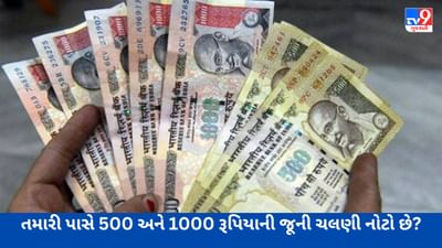 Old Currency : શું તમારી પાસે હજુ 500 અને 1000 રૂપિયાની જૂની ચલણી નોટો છે? વાંચો આ અગત્યની માહિતી