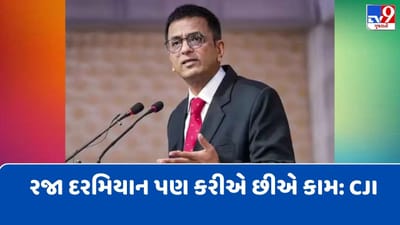 DY Chandrachud: કાયદા મંત્રી સાથે ઉલજવા માંગતો નથી, કારણ કે અમારી ધારણા અલગ હોઈ શકે છે