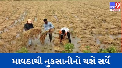 Gujarati Video: રાજ્યમાં માવઠાને કારણે થયેલી નુકસાનીનો થશે સર્વે, કૃષિમંત્રીએ કરી જાહેરાત