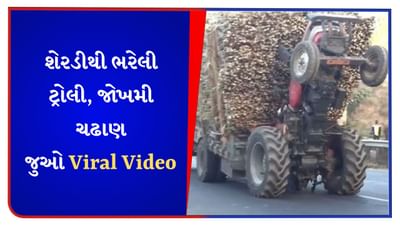 Viral Video : આ જ અસલી હેવી ડ્રાઈવર છે... બે પૈડાં પર આ રીતે ચલાવ્યું ટ્રેક્ટર, લોકોએ કહ્યું - Great Indian Jugaad
