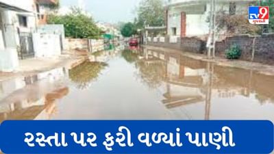 Gujarati Video : દ્વારકા પંથકમા ભારે પવન સાથે ધોધમાર વરસાદ ખાબક્યો, ખેડૂતોના પાકને નુકસાન