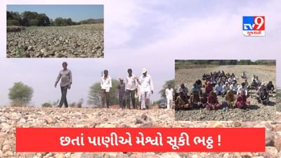મેશ્વો ડેમમાં પાણી ભરપૂર છતાં નદી સૂકી ભઠ્ઠ ભાસી રહી છે! ખેડૂતોએ પટમાં બેસી રામધૂન કરી