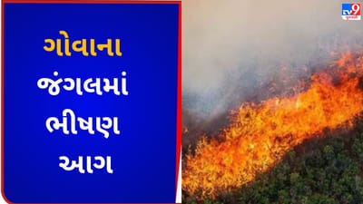 Breaking News : ગોવાના જંગલમાં ભીષણ આગ, એરફોર્સના હેલિકોપ્ટરની આગ ઓલવવા લેવાઈ મદદ