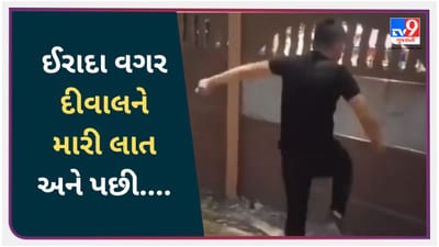 Funny Viral Video : બ્રુસ લી બનીને કોઈ પણ ઈરાદા વગર દીવાલને મારી લાત, થોડી વારમાં તેની સાથે થઈ ગયો દાવ