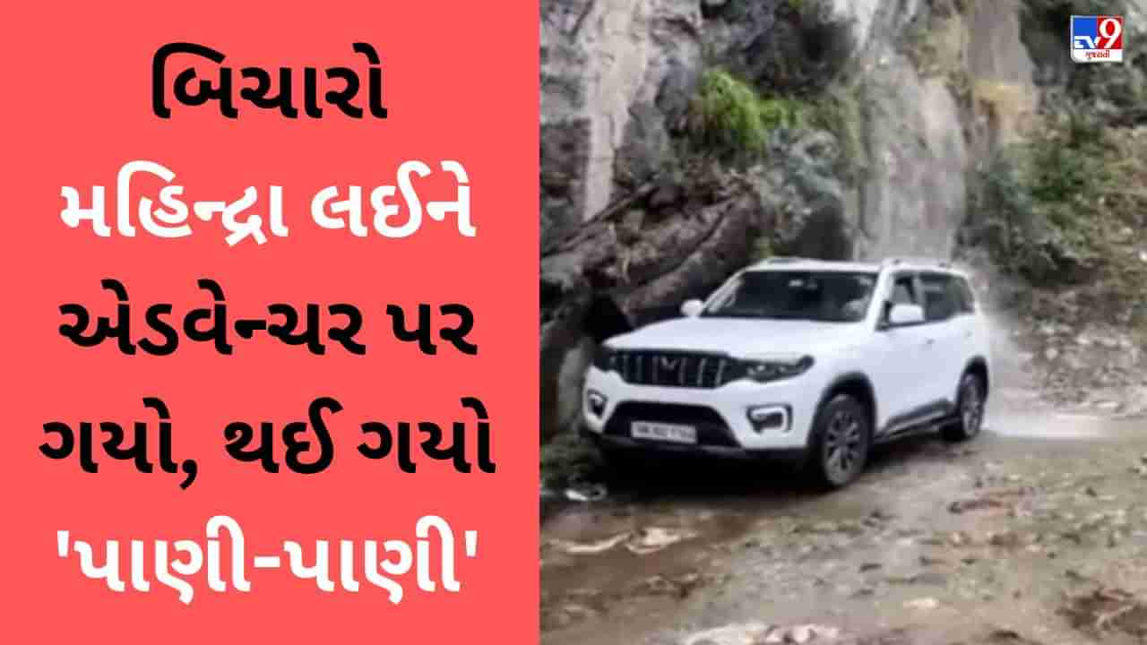 Funny Viral Video : વ્યક્તિ કાર લઈને ગયો એડવેન્ચર પર, એક ક્ષણમાં પાણી થઈ ગયું ચાલુ, લોકોએ કહ્યું - ધોઈ નાખી