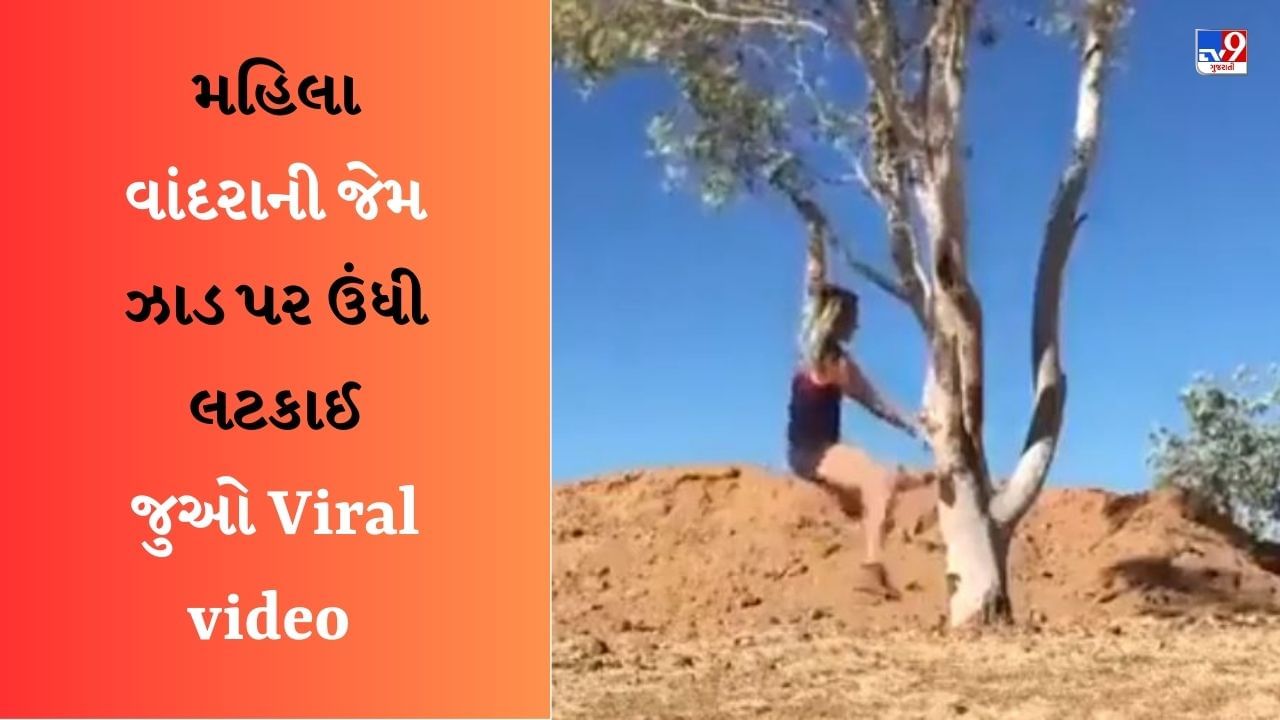 Funny Viral video : મહિલા વાંદરાની જેમ વૃક્ષ પર ઉંધી લટકી, પછી જે થયું તે જોઈને તમે હસવું નહીં રોકી શકો